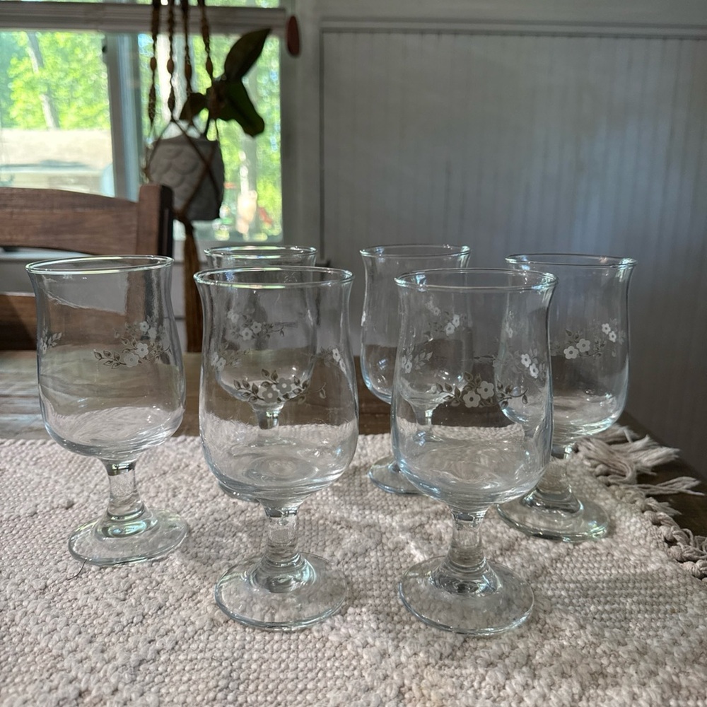 Pfaltzgraff Heirloom Stemmed Glasses with White Etched Floral Design - Set of 6